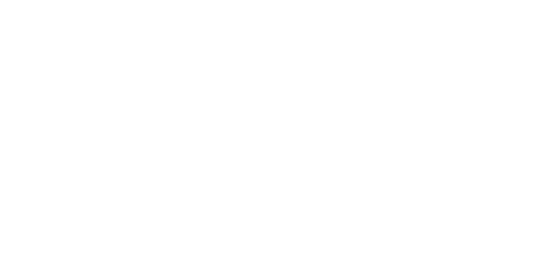 Fundacion Curaumilla